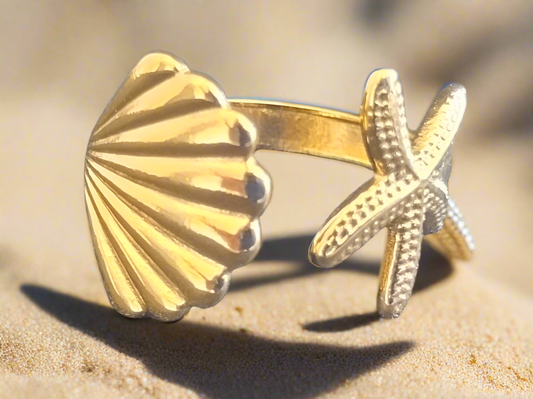 Concha / Estrella de Mar