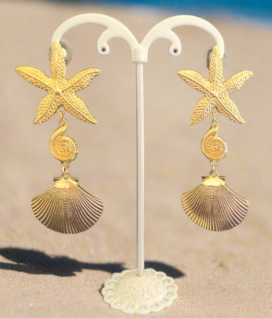 Estrella / Concha de Mar