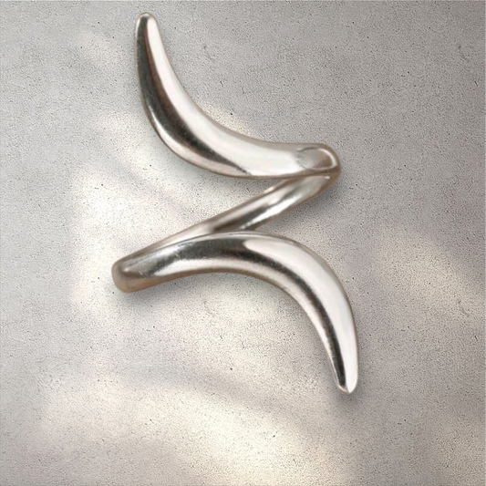 Anillo Z