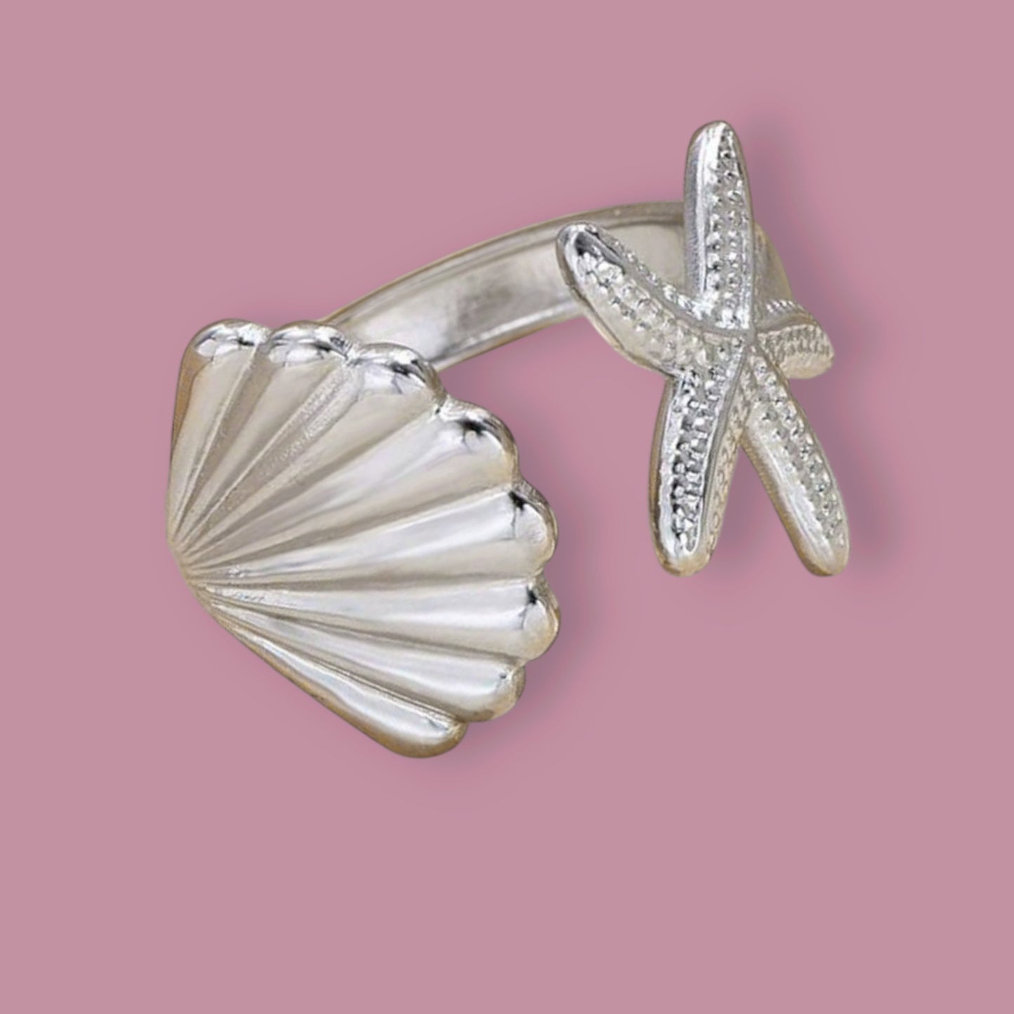 Concha / Estrella de Mar